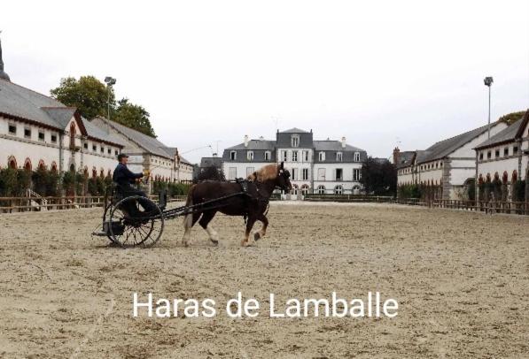 Perle Rare, Appartement Paisible Et Cosy Lamballe Extérieur photo